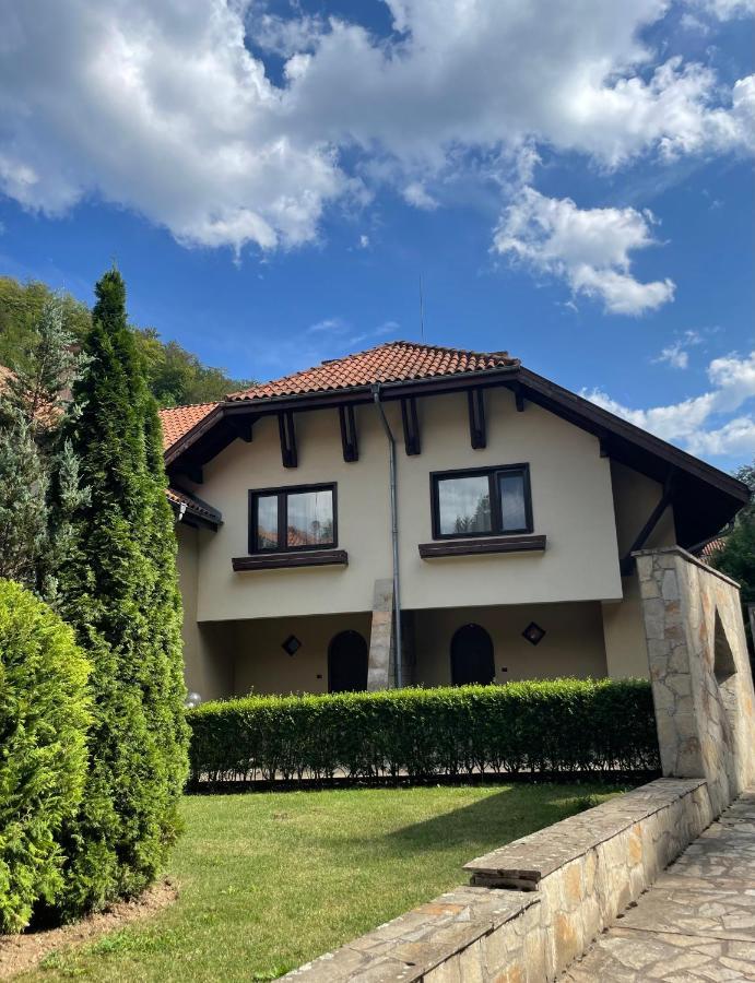 Вила 11 - Семейна Почивка В Сърцето На Балкана Ribaritsa Exterior foto