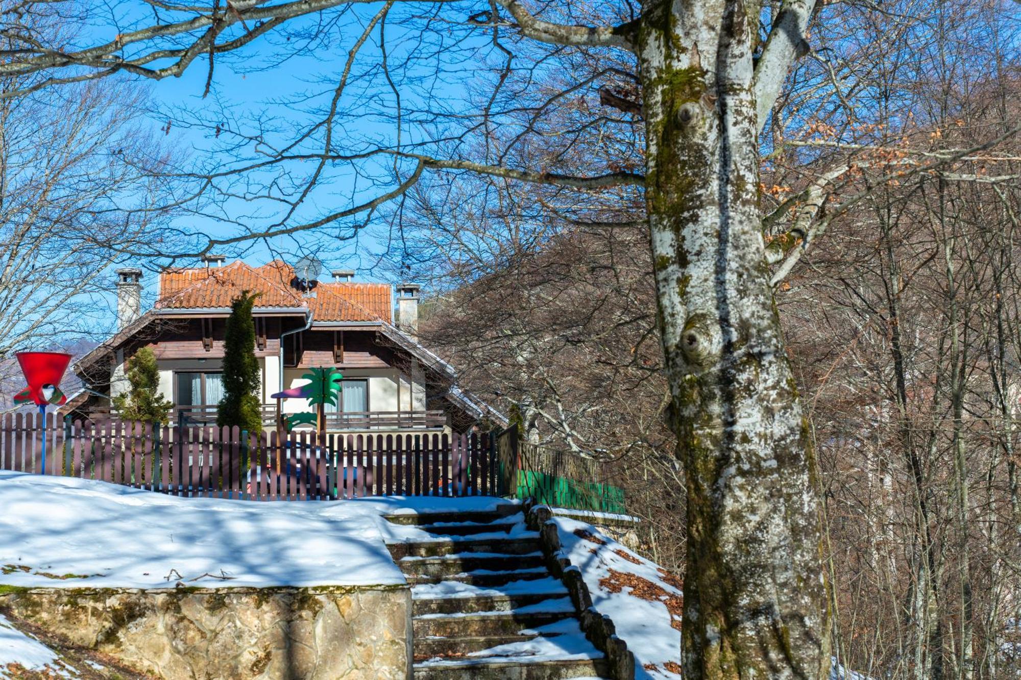 Вила 11 - Семейна Почивка В Сърцето На Балкана Ribaritsa Exterior foto